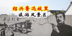 黄色爱草视频中国绍兴-鲁迅故里旅游风景区